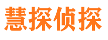 新龙市调查公司